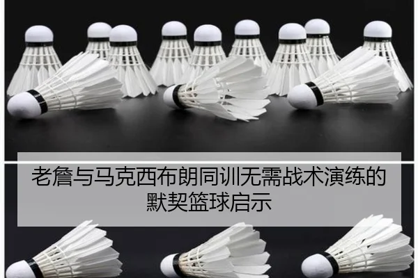 老詹与马克西布朗同训无需战术演练的默契篮球启示（Milansports）