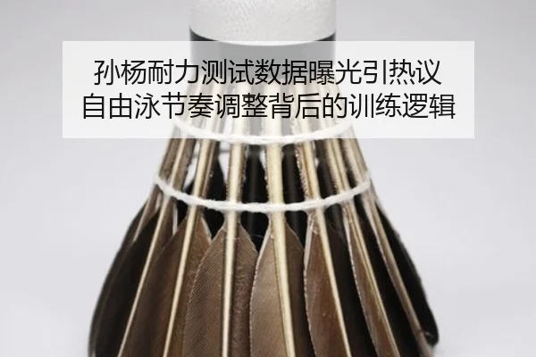 孙杨耐力测试数据曝光引热议 自由泳节奏调整背后的训练逻辑